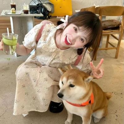 美国兔子的冒险